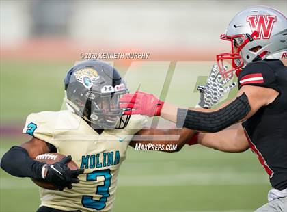 Thumbnail 1 in Wilson vs Molina photogallery.