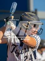 Photo from the gallery "Bartlett @ Arlington"