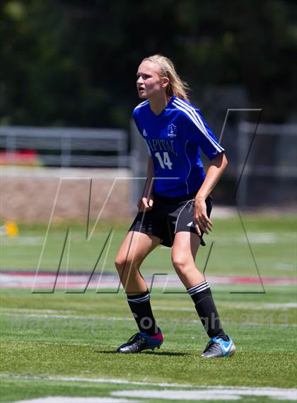 Thumbnail 1 in Amador vs. Capital Christian (CIF SJS D6 Final) photogallery.