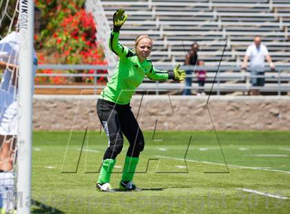 Thumbnail 3 in Amador vs. Capital Christian (CIF SJS D6 Final) photogallery.