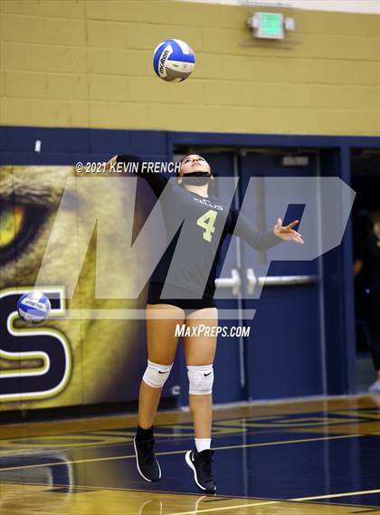 Thumbnail 3 in Arcadia @ Kellis photogallery.