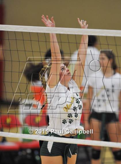Thumbnail 3 in Horizon @ Chaparral photogallery.