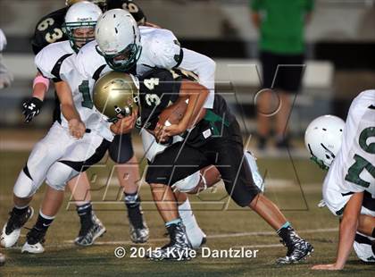 Thumbnail 1 in FR: Lake Dallas Green @ Birdville Gold photogallery.