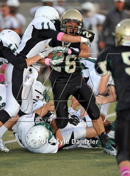 Thumbnail 2 in FR: Lake Dallas Green @ Birdville Gold photogallery.