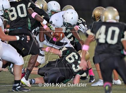 Thumbnail 2 in FR: Lake Dallas Green @ Birdville Gold photogallery.