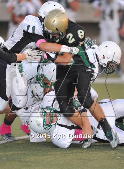 Thumbnail 1 in FR: Lake Dallas Green @ Birdville Gold photogallery.