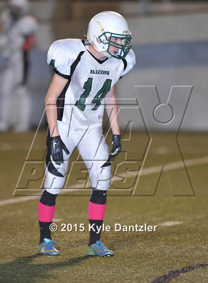 Thumbnail 3 in FR: Lake Dallas Green @ Birdville Gold photogallery.