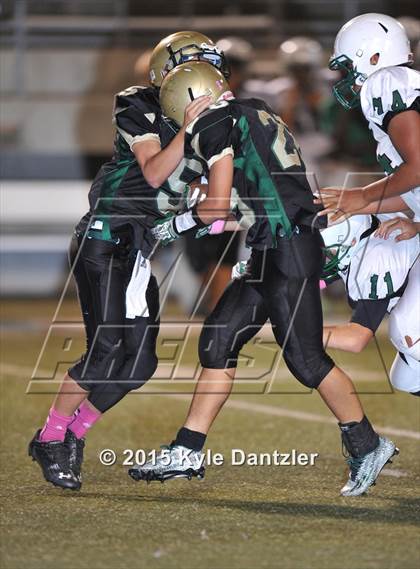 Thumbnail 1 in FR: Lake Dallas Green @ Birdville Gold photogallery.