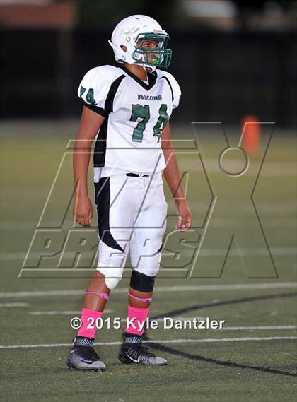 Thumbnail 3 in FR: Lake Dallas Green @ Birdville Gold photogallery.