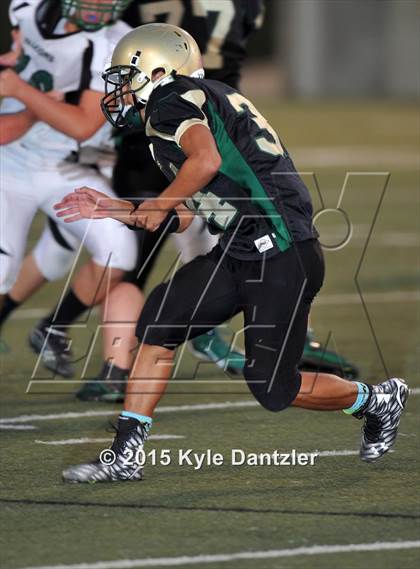 Thumbnail 2 in FR: Lake Dallas Green @ Birdville Gold photogallery.