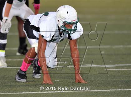 Thumbnail 1 in FR: Lake Dallas Green @ Birdville Gold photogallery.