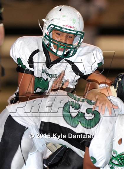 Thumbnail 3 in FR: Lake Dallas Green @ Birdville Gold photogallery.