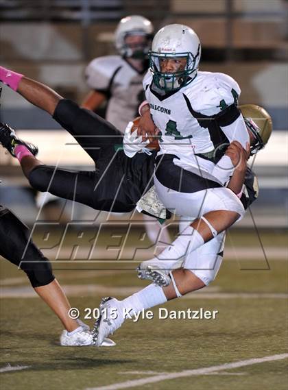 Thumbnail 3 in FR: Lake Dallas Green @ Birdville Gold photogallery.
