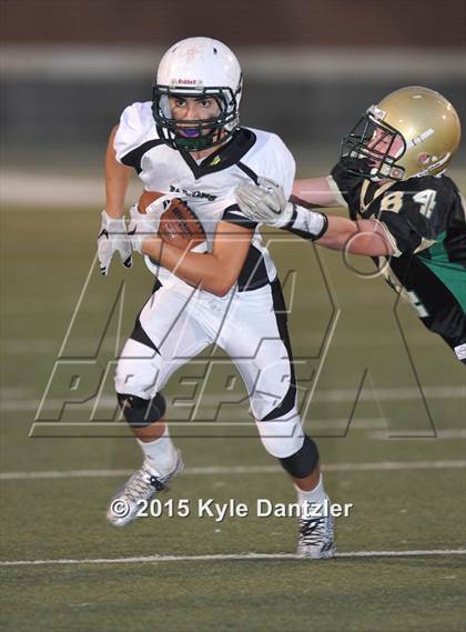 Thumbnail 2 in FR: Lake Dallas Green @ Birdville Gold photogallery.