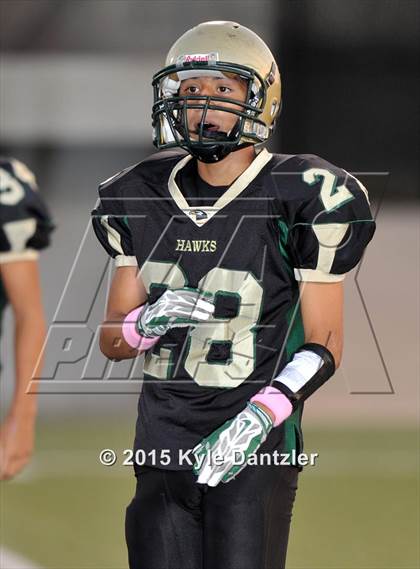 Thumbnail 2 in FR: Lake Dallas Green @ Birdville Gold photogallery.