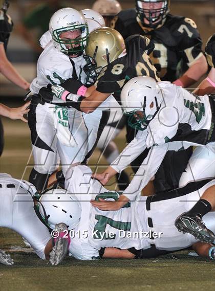 Thumbnail 2 in FR: Lake Dallas Green @ Birdville Gold photogallery.