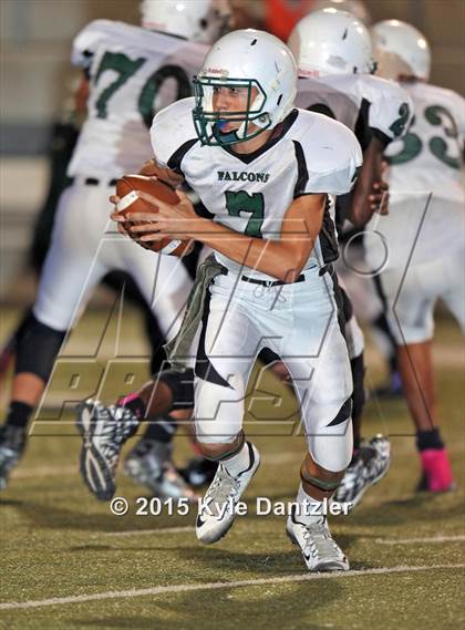 Thumbnail 2 in FR: Lake Dallas Green @ Birdville Gold photogallery.
