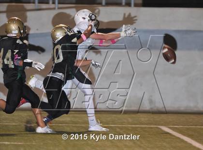 Thumbnail 3 in FR: Lake Dallas Green @ Birdville Gold photogallery.