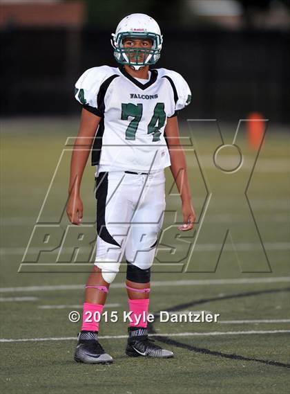 Thumbnail 1 in FR: Lake Dallas Green @ Birdville Gold photogallery.
