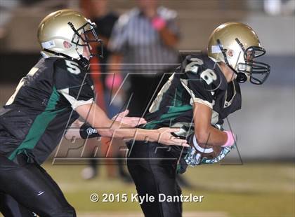 Thumbnail 3 in FR: Lake Dallas Green @ Birdville Gold photogallery.
