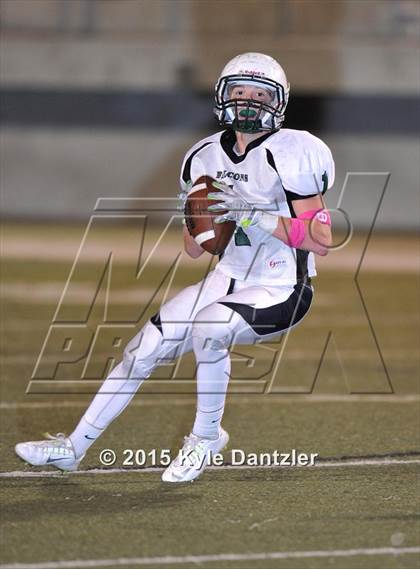 Thumbnail 1 in FR: Lake Dallas Green @ Birdville Gold photogallery.