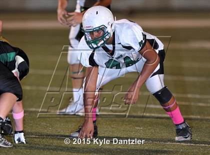 Thumbnail 3 in FR: Lake Dallas Green @ Birdville Gold photogallery.