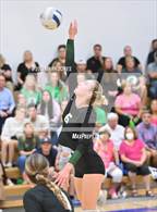 Photo from the gallery "Sunnyslope @ Xavier College Prep"