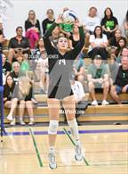 Photo from the gallery "Sunnyslope @ Xavier College Prep"