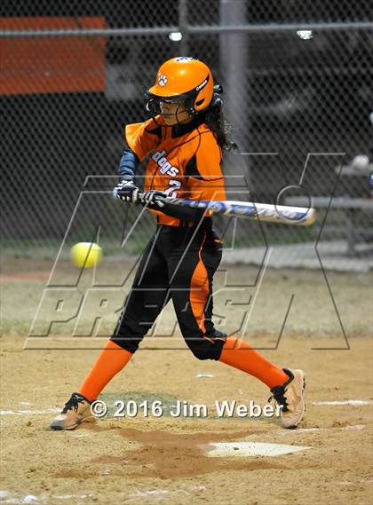 Thumbnail 3 in Anclote @ Zephyrhills photogallery.