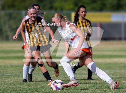 Thumbnail 1 in Murray @ Cottonwood photogallery.