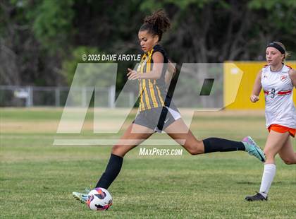 Thumbnail 1 in Murray @ Cottonwood photogallery.
