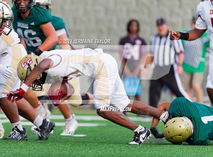 Thumbnail 3 in Cross Creek @ Aquinas photogallery.