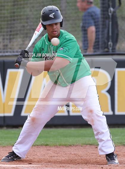 Thumbnail 3 in Meridian @ Tuscola photogallery.