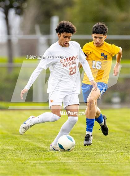 Thumbnail 3 in Cardinal Newman @ Newark Memorial (CIF NorCal DIII Championship) photogallery.