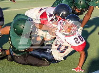 Thumbnail 3 in Pleasant Grove @ Monterey Trail photogallery.