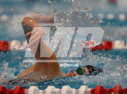 Thumbnail 1 in CHSAA 3A Finals photogallery.