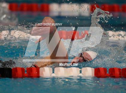 Thumbnail 1 in CHSAA 3A Finals photogallery.