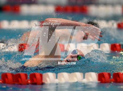 Thumbnail 2 in CHSAA 3A Finals photogallery.