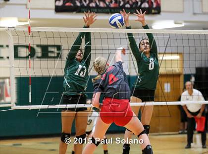 Thumbnail 2 in Ray @ Southwest photogallery.