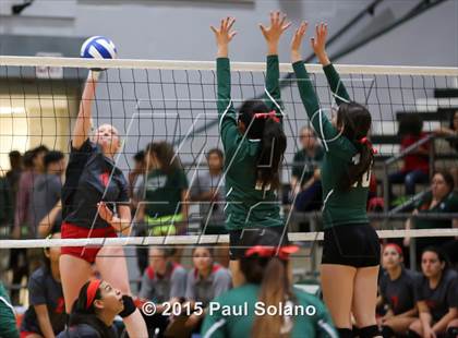 Thumbnail 3 in Ray @ Southwest photogallery.