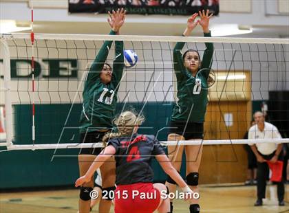 Thumbnail 3 in Ray @ Southwest photogallery.