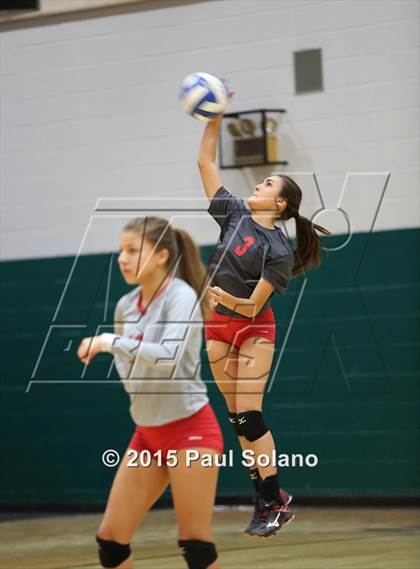 Thumbnail 3 in Ray @ Southwest photogallery.