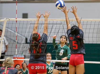 Thumbnail 3 in Ray @ Southwest photogallery.