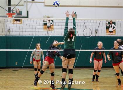 Thumbnail 3 in Ray @ Southwest photogallery.
