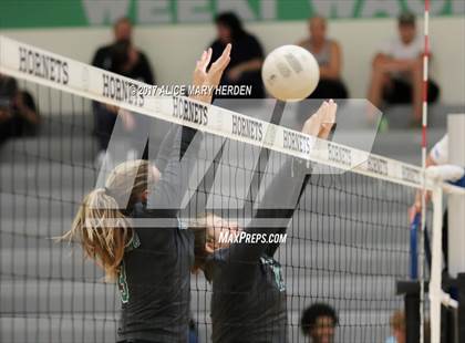 Thumbnail 1 in Lecanto @ Weeki Wachee photogallery.