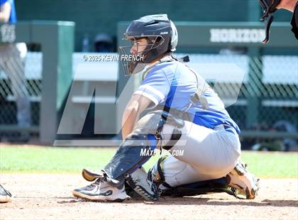 Thumbnail 2 in Williams Field @ Dobson photogallery.