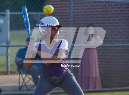 Thumbnail 3 in Miller Grove @ Hampton photogallery.