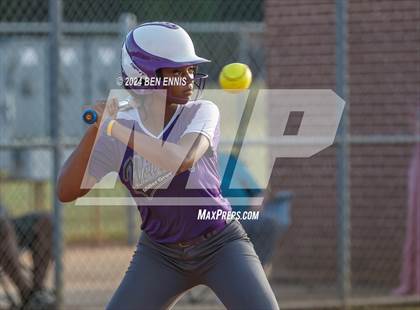 Thumbnail 3 in Miller Grove @ Hampton photogallery.