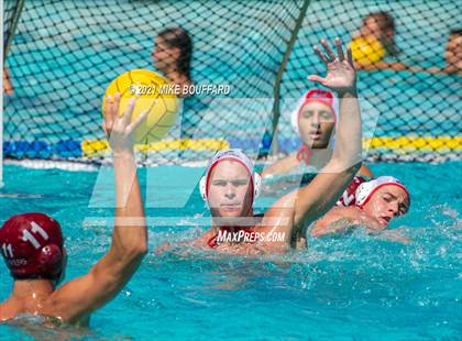 Thumbnail 2 in Monte Vista vs. Laguna Beach photogallery.