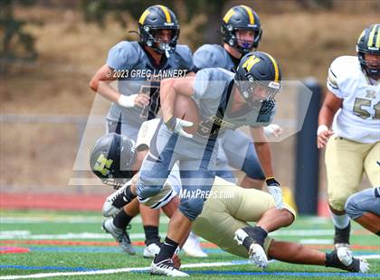 Thumbnail 3 in Hayward @ Novato photogallery.